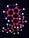 Dextrarotatory Lysergic Acid Diethylamide